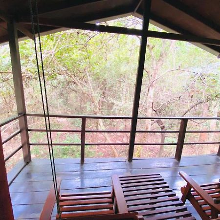 The Inn On The Tree Sigiriya Ngoại thất bức ảnh