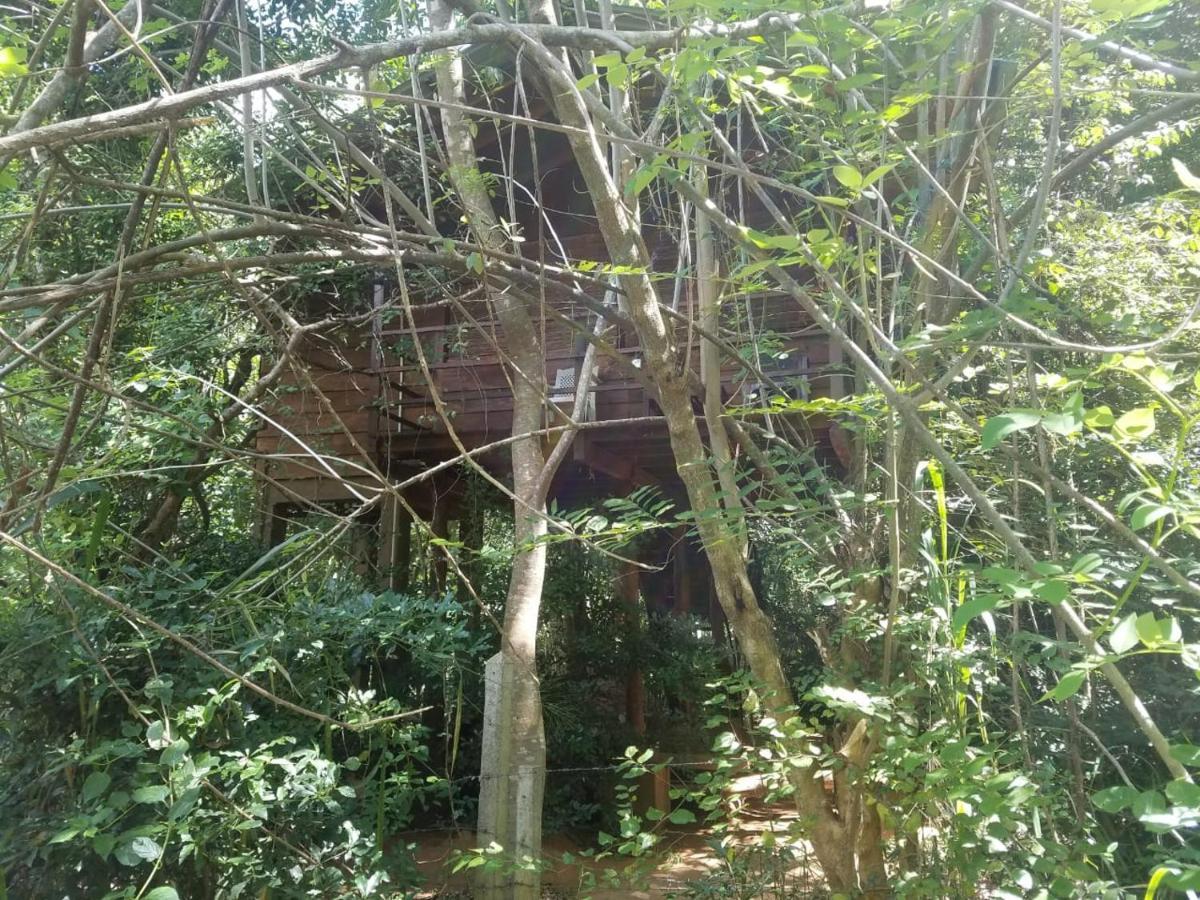 The Inn On The Tree Sigiriya Ngoại thất bức ảnh