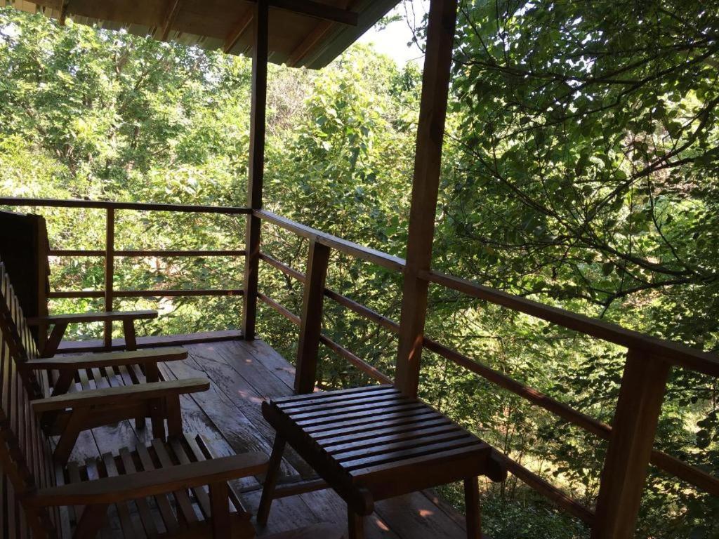 The Inn On The Tree Sigiriya Ngoại thất bức ảnh