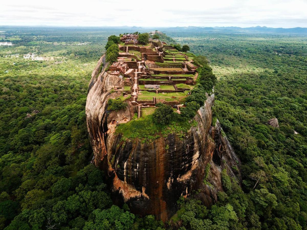 The Inn On The Tree Sigiriya Ngoại thất bức ảnh