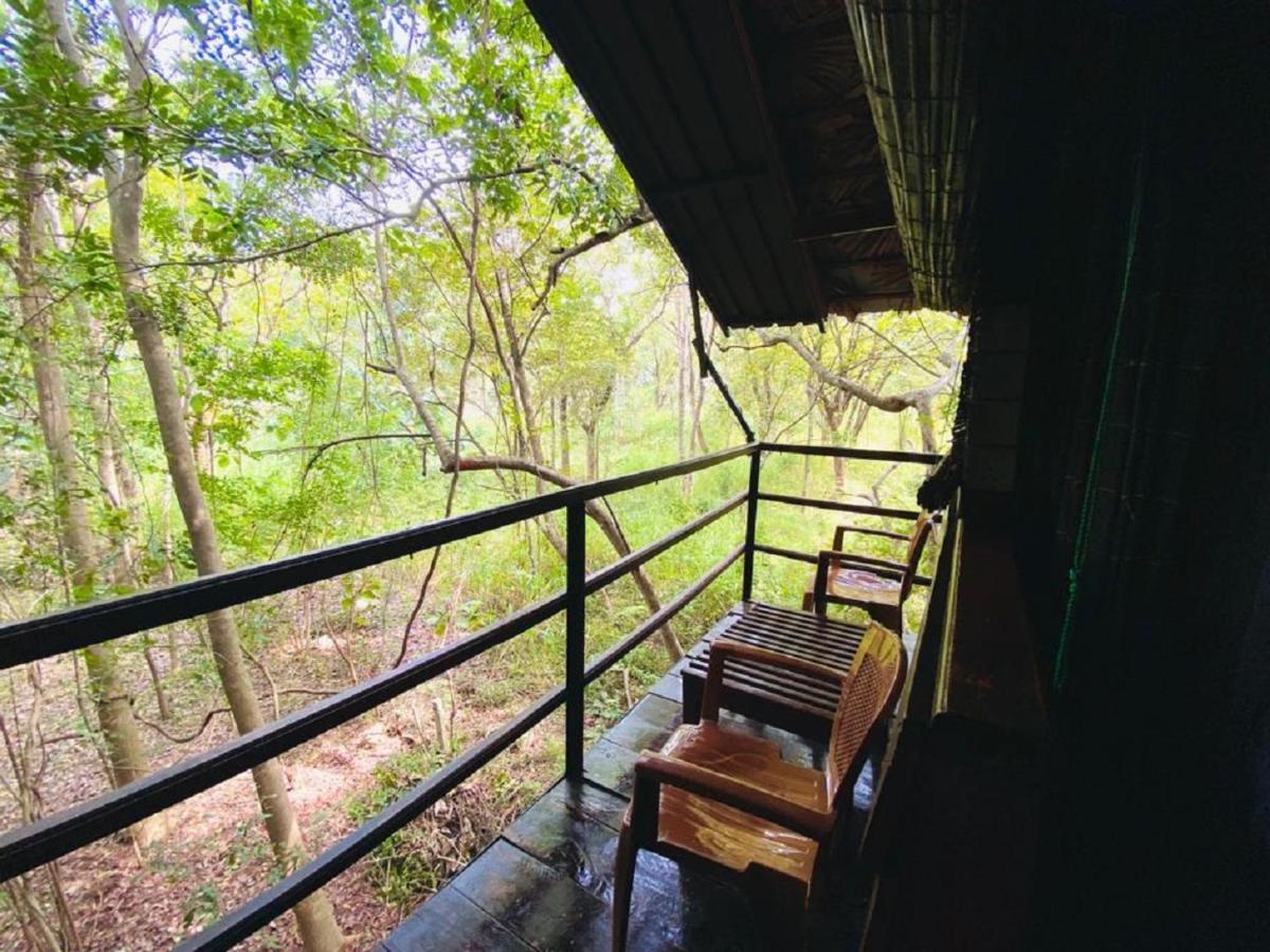 The Inn On The Tree Sigiriya Ngoại thất bức ảnh